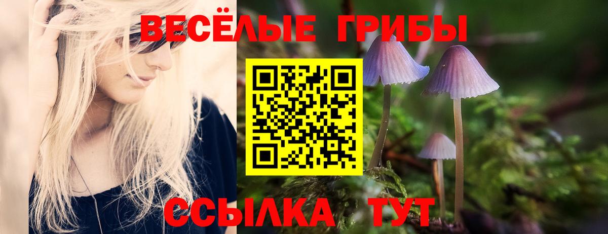 Галлюциногенные грибы мицелий  Галлюциногенные грибы Psilocybe  Новочеркасск  Вход с VPN 